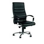 Directiestoelen