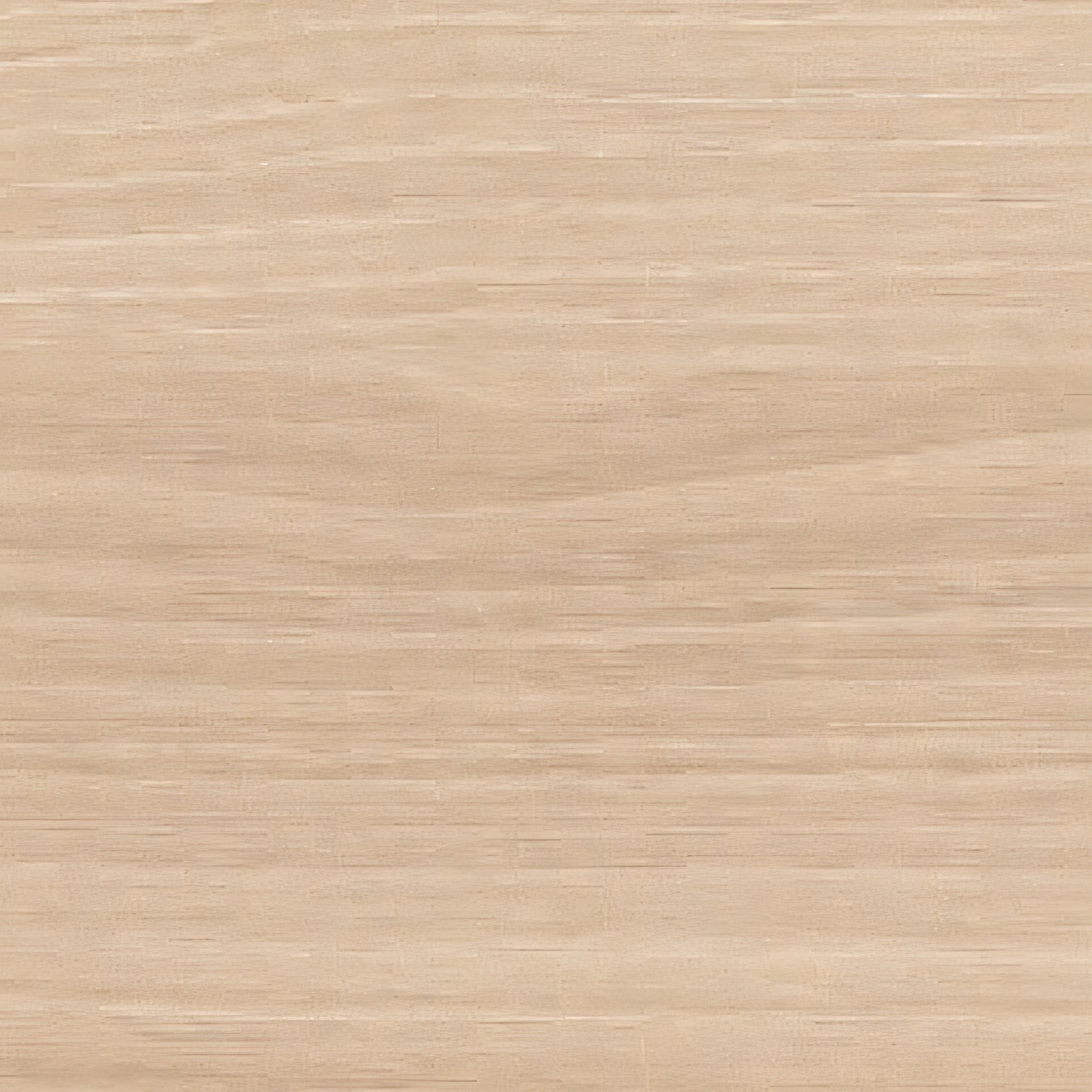 Acacia