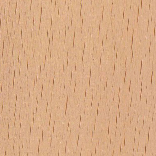 Beuken blank
