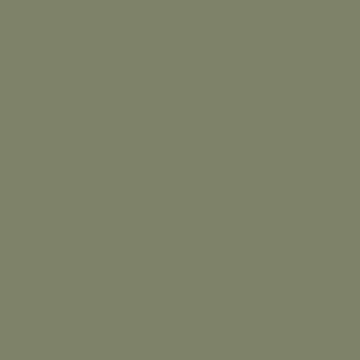 Olijfgroen RAL 6013