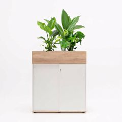 Plantenbak Honing eik