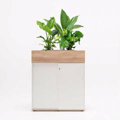Plantenbak Eliza - 80 x 43 cm