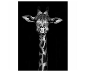 Akoestisch schilderij giraffe