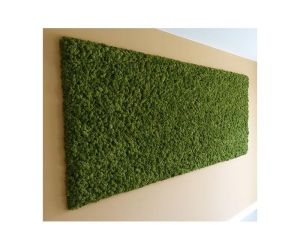 Mosschilderij H80 x B80cm