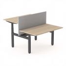 Zit sta bureau Elektrisch 5ive duo - 140 x 80 cm