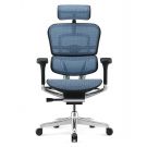 Bureaustoel Ergohuman Elite 2 - Blauw
