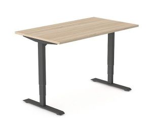 Elektrisch zit sta Bureau 5ive - 200 x 80 cm