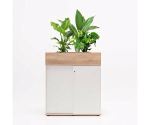 Plantenbak Eliza - 100 x 43 cm