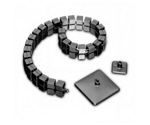 Kabelslang Domino - Close up