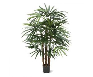 Kunstplant Hydra