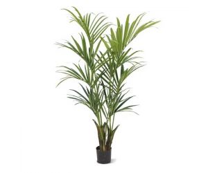 Kunstplant Konia