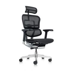 Ergohuman Elite 2