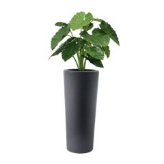 Kunstplant Alosia (plantenbak H90 x B40)
