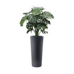 Kunstplant Coster