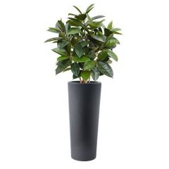 Kunstplant Elaro (plantenbak H68 x B30)
