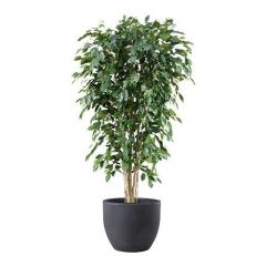 Kunstplant Focus Plus