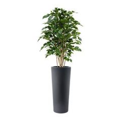 Kunstplant Focus