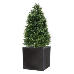 Kunstplant Nexus Plus