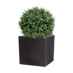 Kunstplant Nexus