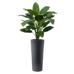 Kunstplant Syllum