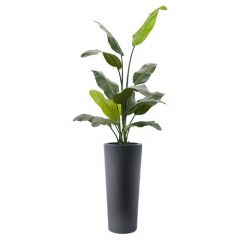 Kunstplant Travela (plantenbak H68 x B30)